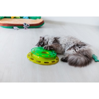 Игровой комплекс для кошек, с отсеками для корма и шариком, цвет МИКС