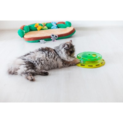 Игровой комплекс для кошек, с отсеками для корма и шариком, цвет МИКС