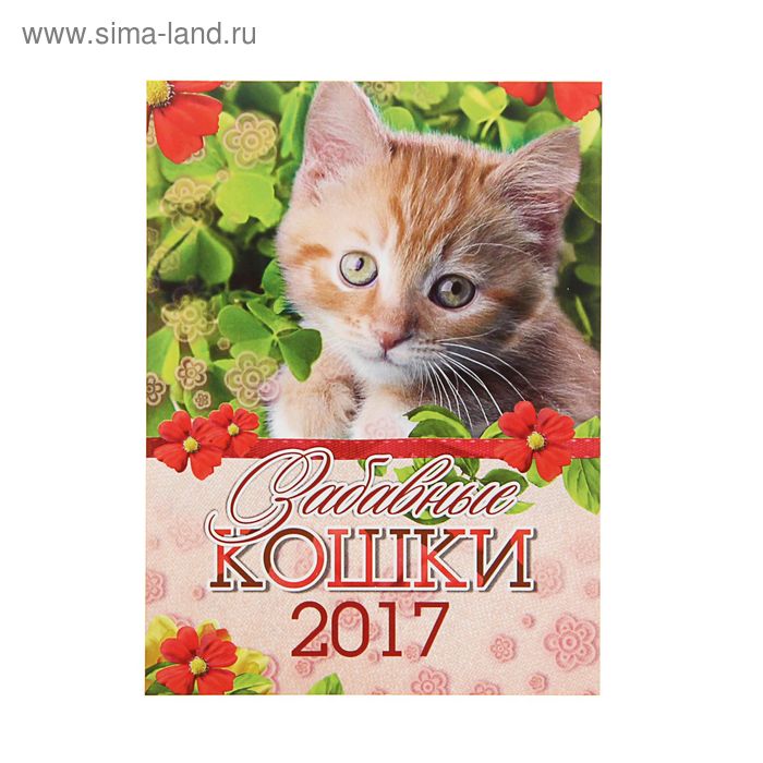 Календарь отрывной на магните 2017 "Забавные кошки" Кот, цветы - Фото 1