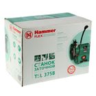 Точило Hammer Flex TSL375B, 375 Вт, 2950 об/мин, 150 x 20 x 12.7 мм круг, с подсветкой - Фото 2