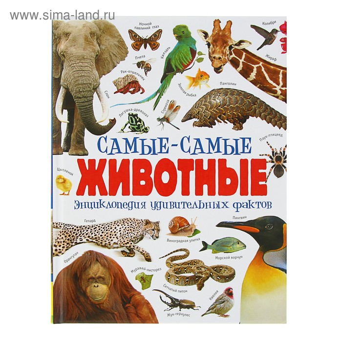 Экология для детей. Дошколята - защитники природы - Фотоотчёты - Страница 39. Во