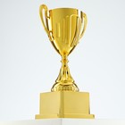 Кубок 092, наградная фигура, золото, подставка пластик, 19.8 см - Фото 3