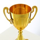 Кубок 092, наградная фигура, золото, подставка пластик, 19,8 х 10,5 х 8 см. - фото 9503574