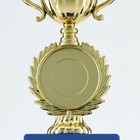 Кубок под нанесение 057, наградная фигура, золото, подставка пластик, 14 см - Фото 6