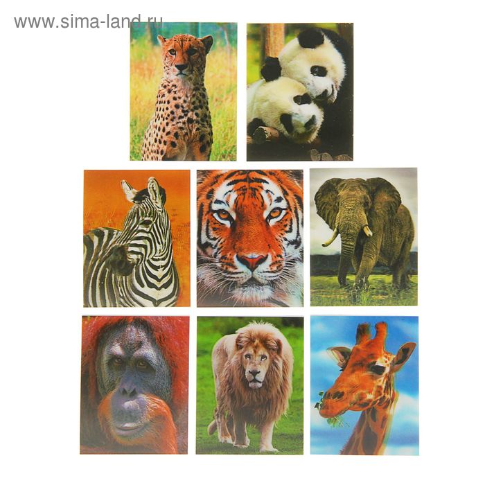 Блокнот А7, 30 листов 3D WILD ANIMALS, в пластиковой обложке, МИКС - Фото 1