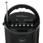 Радиоприемник "VIKEND TOURIST", УКВ, USB, SD/MMC, AUX, встроенный фонарик - Фото 2