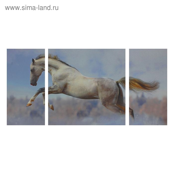 Картина модульная на подрамнике "Конь" 2шт-30х60см, 1шт-60х60см - Фото 1