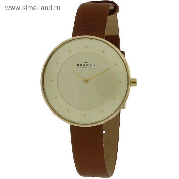 Часы наручные женские SKAGEN SKW2138 - Фото 1