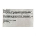 Паста восковая бронзовая в тубе 20 мл Ferrario №2 Бледное золото CB231000 - Фото 2