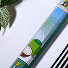 Благовония HEM "Coconut. Кокос ", 20 палочек в упаковке, шестигранник в упаковке - Фото 2