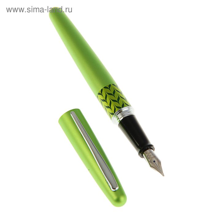 Ручка перьевая MetallicLight green&MarbleRing, чернила синие, светло-зеленый корпус, в футляре + подарочный пакет - Фото 1