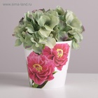 Кашпо для цветов «Пионы», 800 мл, d=12 см, h=11 см, пластиковое - Фото 4