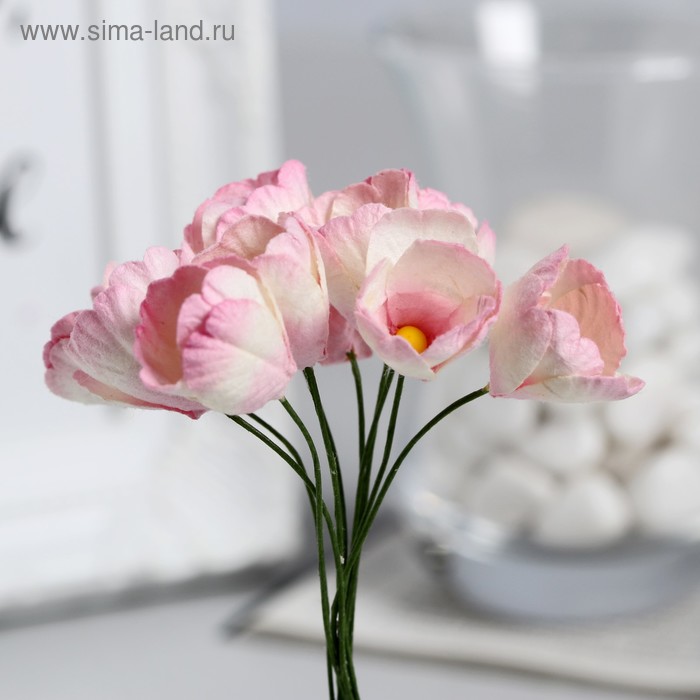 Тюльпаны, набор 10 шт Бело-розовые - Фото 1