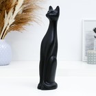 Фигурка гипс «Кошка Египетская», чёрная матовая, 15 10×10×31 см - фото 20550771