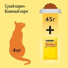 Сухой корм FRISKIES для кошек, мясо/печень/курица, 10 кг - Фото 9