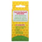 Игрушка из меховых палочек, набор для создания "Пасхальный кролик" + глазки, пенопл.яйцо - Фото 5