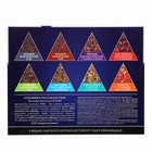 Чай подарочный новогодний Svay. Golden Variety, ассорти, 48 пирамидок - Фото 5