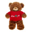 Мягкая игрушка "Медведь в вязаной кофте № 4", цвета МИКС - Фото 1