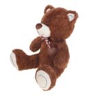 Мягкая игрушка "Медведь бантом и сердцем на груди №1", цвета МИКС - Фото 2