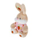 Мягкая игрушка "Заяц в кофте с морковкой № 2", цвета МИКС - Фото 2