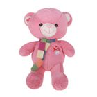 Мягкая игрушка "Медведь с шарфом и вышивкой №2", цвета МИКС - Фото 4