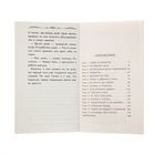 Лучшие книги детства "Приключение Растяпкина. Экзамен на выживание". Автор: Сухова - Фото 4