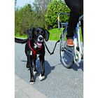 Велоспрингер Trixie (для крупных собак) - Фото 1