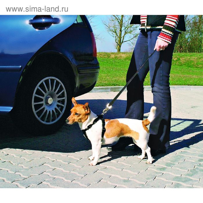Автомобильный ремень безопасности со шлейкой Trixie для собак, 20-50 см - Фото 1