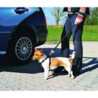 Автомобильный ремень безопасности со шлейкой Trixie для собак, 30-60 см - Фото 1