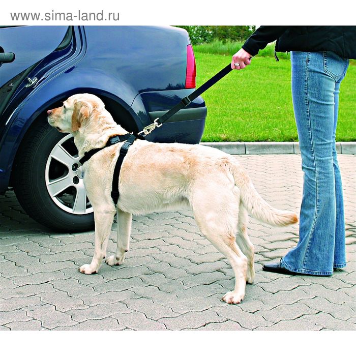 Автомобильный ремень безопасности со шлейкой Trixie для собак, 70-90 см - Фото 1