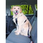 Автомобильный ремень безопасности со шлейкой Trixie для собак, 70-90 см - Фото 2