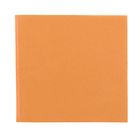 Поталь в книжке, 14 х 14 см, 25 листов, Ferrario, Имитация золота - Фото 2