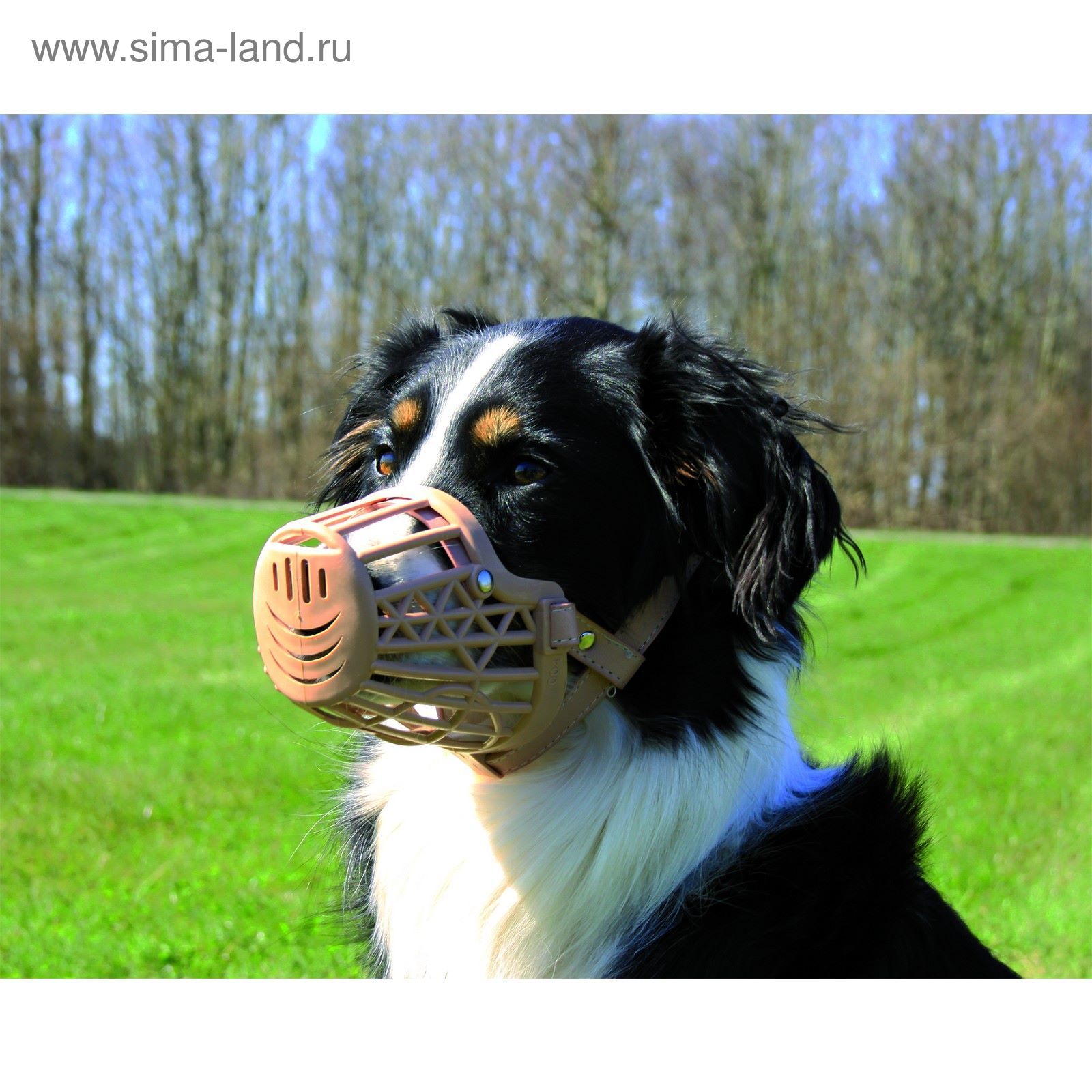 Намордник для собак trixie muzzle flex m-l 17613, обхват морды 26 см. Собаки которые должны быть в наморднике. Намордники для собак стаффорд. Gappay намордник для кане корсо. Собаки которые должны быть в наморднике.