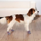 Носок Trixie для собак , размер XS-S, 2 шт.,  хлопок, серый - Фото 3