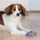 Носок Trixie для собак, размер S-M, 2 шт., хлопок, серый - Фото 2