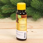 Ароматическая смесь для бани и ванны "Тонизирующий пар", 100 мл - Фото 2