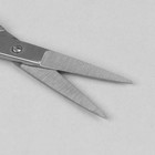 Ножницы маникюрные, узкие, прямые, 10 см, цвет матовый серебристый, NS-1/2-D - Фото 2