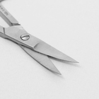 Ножницы маникюрные, широкие, загнутые, 10см, цвет серебристый - Фото 2