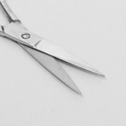 Ножницы маникюрные, широкие, прямые, 10см, цвет серебристый - Фото 2