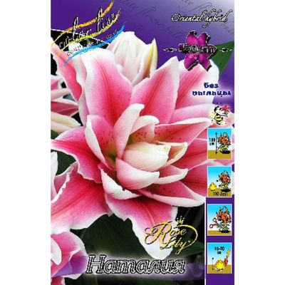 Лилии :: Наталия Короткова - Социальная сеть ФотоКто