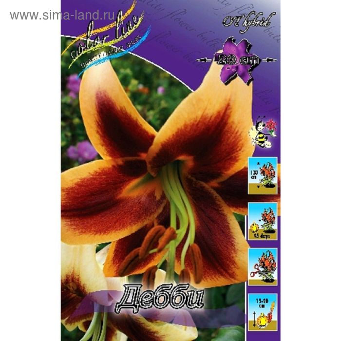 Луковицы Лилии Green Sad купить по выгодной цене в интернет-магазине OZON (15152