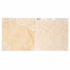 Бумага для скрапбукинга "Жемчужина" , 30,5 х 30,5 см 180 г/м - Фото 2