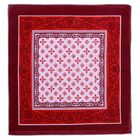 Платки носовые мужские «Этель», размер 30×30 см, 12 шт., коричневые, рисунок МИКС - Фото 10