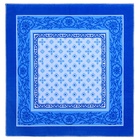 Платки носовые мужские «Этель» размер 30×30 см, (набор 12 шт.,), рисунок МИКС, синие - Фото 9
