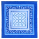 Платки носовые мужские «Этель» размер 30×30 см, (набор 12 шт.,), рисунок МИКС, синие - Фото 10