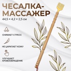 Массажёр - чесалка, универсальный, деревянный, 44.5×4.2×2.5 см, бежевый - Фото 1
