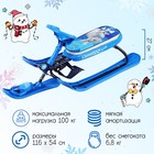 Снегокат «Ника-кросс Кролик», СНК, цвет голубой/чйрный - Фото 1