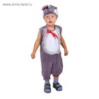 Карнавальный костюм для мальчика от 1,5-3-х лет "Мышонок", велюр, комбинезон, шапка - Фото 1