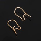 Швензы для сережек-петельки СМ-1069, (набор 5 пар) 15 мм, цвет золото - Фото 3