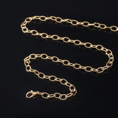 Цепочка с карабином, L=50 см, 7×5×1 мм, (набор 5 шт), СМ-1935, цвет золото